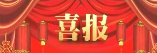 大連路陽科技開發有限公司的“PEEK改性材料及制品制備技術”，被遼寧省工信廳授予2022年度遼寧省“專精特新”產品（技術）稱號